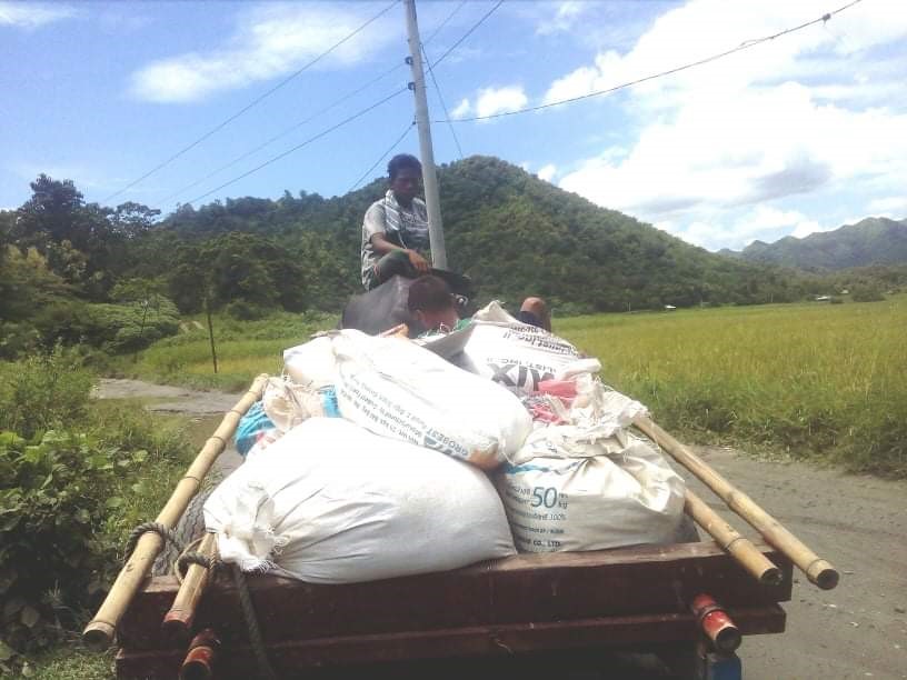 Sands and cements are placed inside sacks and carried by carabaos.
